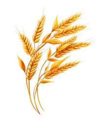 Ear of wheat isolated on transparent or white background png isolated on white background center of frame center of canvas no shadow wheat clipart, wheat vector, wheat illustration, bakery ingredient

