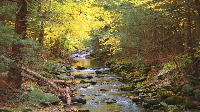 This footage depicts the creek formed by Bash Bish Falls, the highest waterfall in Massachusetts, captured during the fall season at Bash Bish Falls State Park.