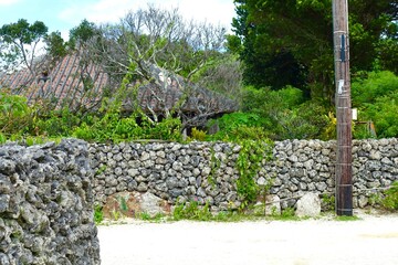 竹富島の石垣のある路地　　沖縄の風景