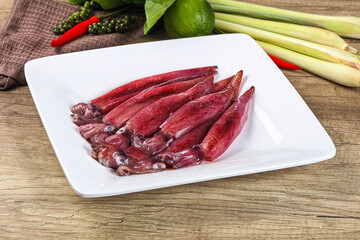 Raw fresh squids for cooking