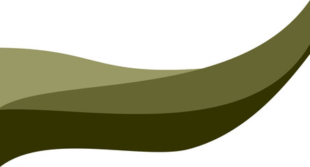 Modern Elegant Wave Border