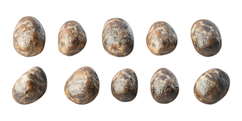 Ten rough brown oblong river stones or pebbles laid out in two rows for a natural texture background or design element isolated on transparent