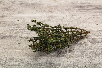 Fresh green Thyme branch isolated