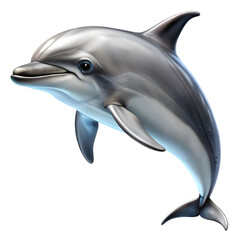 Fototapeta premium Dolphin isolated on transparent background
