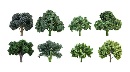 Pack Kale Chips Set Against Transparent Background for Food Branding, Healthy Snack Promotion, or Organic Design Projects