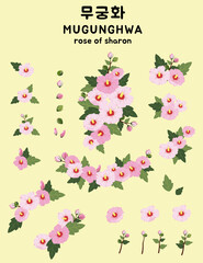 Memorial Day Rose of Sharon Flower collection