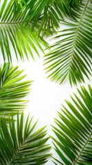 Fototapeta premium Vibrant palm leaves arrangement studio botanical imagery minimalist top-down perspective nature's beauty