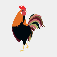 Rooster Cock hand-drawn vector illustration 