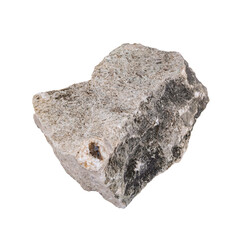 Limestone rock with fossils .Stone specimen. Sedimentary rock	