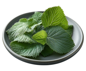 perilla leaves (kkaennip) placed on a ceramic plate on transparent background
