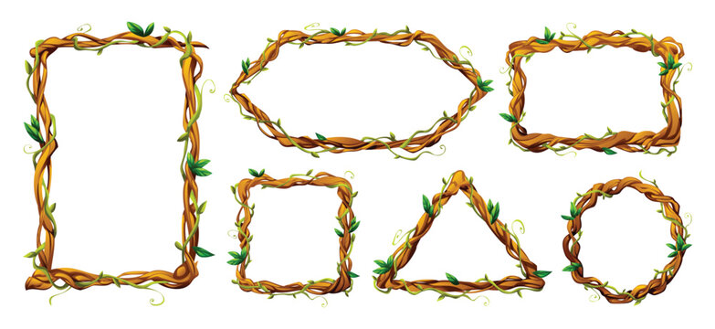 Liana vine frames featuring different shapes with leaves and natural textures. Perfect for nature inspired graphics. Vector cartoon illustration