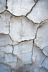 Fototapeta premium Cracked, light gray, dry earth surface