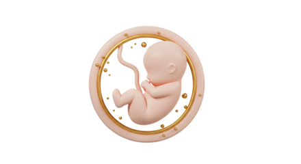 Isolated Serene 3D Fetus in Warm Womb Accentuated by Gold Spheres, Epitomizing New Life and Blessed Creation
