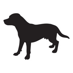 black silhouette of a dog