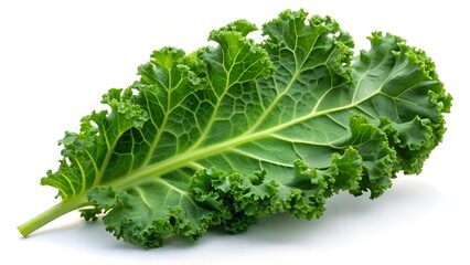 Obraz premium fresh lettuce isolated on white