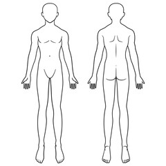 男性の人体図　シェーマ　前面背面