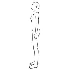 女性の人体図　シェーマ　横向き