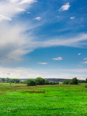 A large field of grass with a few trees in the background
