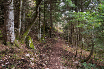 Trail path leading to red rock viewing point above Elati village, Trikala, Greece