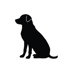 black labrador retriever dog