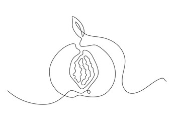 Minimalistic continuous line peach with pit and leaf for the logo and designs. Peach in one line art style.