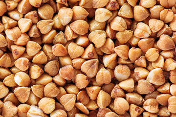 Whole grain buckwheat. Macro shot