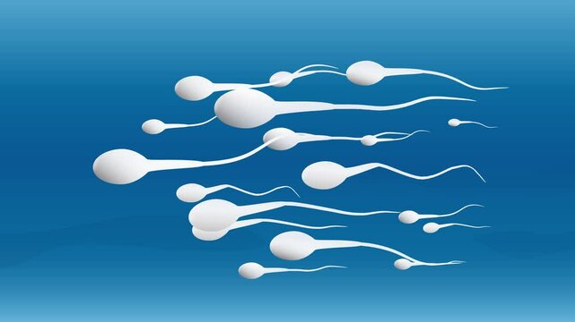 The race of competing sperm. Spermatozoa swimming towards the ovum
