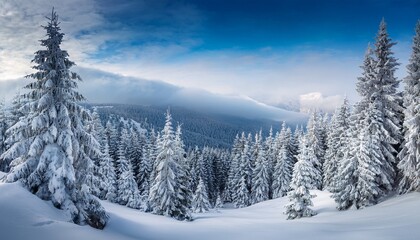 Obraz premium fantastic winter landscape with lots of snow on fir trees snow covered conifers