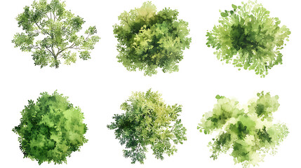 Watercolor Tree Top View – Lush Green Foliage on white background Ai Generated