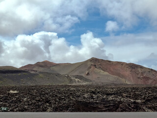 mar, campo, azul, verde, plantas, cactus, rocas, animal, agua, espuma