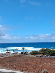 mar, campo, azul, verde, plantas, cactus, rocas, animal, agua, espuma