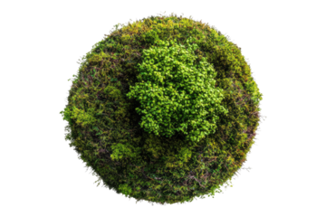Ambient accent Isolated on transparent background