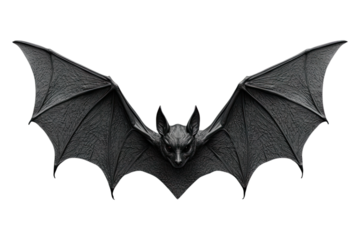 Bat Isolated on transparent background