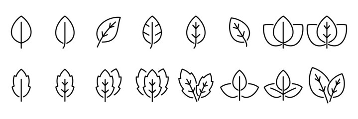 Leaf line icon collection. black line. transparent background. leaf icon vector illustration