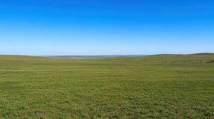 Fototapeta premium Vast Expanse of Serene Green Prairie Under a Clear Blue Sky