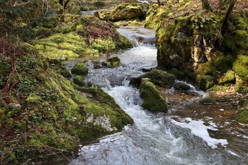 Roccamandolfi - Torrente Rio Torrone verso monte dal Ponte di Pietro