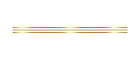 Classic, Elegant, and Glossy Bronze Text Divider – Isolated on White.