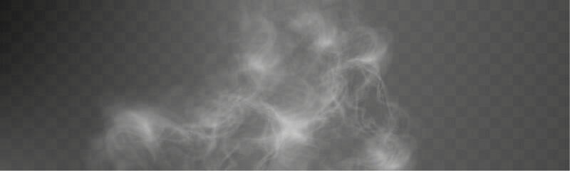 Realistic white smoke on transparent background with soft swirling effect, misty fog, airy vapor, atmospheric haze, drifting smog, subtle steam, floating cloud, delicate fumes.
