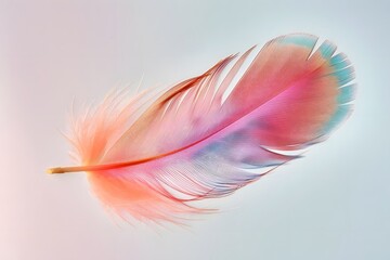 Naklejka premium Vibrant Hues of a Single Bird Feather: A Close-Up Study of Texture, Color, and Delicate Structure. Exploring the Artistic Beauty of Nature's Palette, Showcasing Intricate Details in Stunning Clarity.