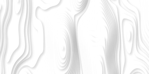 Abstract white paper cut background with lines. Background of the topographic map. White wave paper curved reliefs abstract background. Realistic papercut decoration textured with wavy layers.