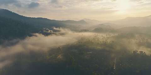 Naklejka premium Aerial view of morning mist over tropical forest with soft sunlight