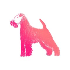 set of cute dog breeds