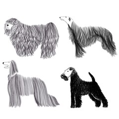 set of cute dog breeds