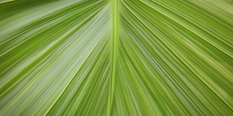 Obraz premium Closeup of vibrant tropical green leaf with detailed texture