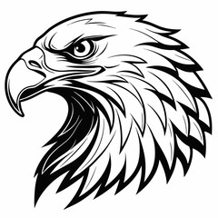 Majestic Eagle Head Illustration in Black and White Detailed Style Vector Art SVG File