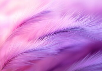 Fototapeta premium A close-up of soft, fluffy feathers in shades of purple and pink on an abstract background.