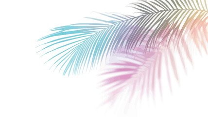 The image features two stylized palm fronds rendered in pastel shades of blue, pink, and yellow against a pure white background. The fronds are partially overlapping, showcasing delicate details of