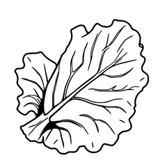 Elegant Line Art of a Single Lettuce Leaf Illustration                                              
