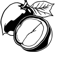 Monochrome Coffee Bean Illustration with Leaf                                                       