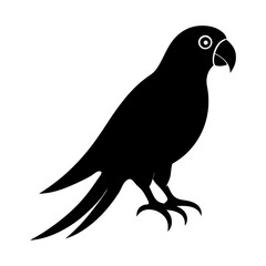 Fototapeta premium parrot on a white background silhouette vector